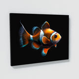 Clownfish Vibrant Orange 8 Wall Art