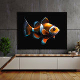 Clownfish Vibrant Orange 8 Wall Art