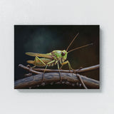 Cricket Branch Visible 4 Wall Art