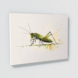 Cricket Minimalist Watercolor 12 Wall Art