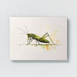 Cricket Minimalist Watercolor 12 Wall Art
