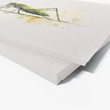 Cricket Minimalist Watercolor 12 Wall Art