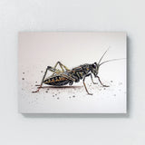 Cricket Texture 8 Wall Art