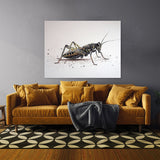 Cricket Texture 8 Wall Art
