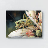 Cricket Watercolor Flower 14 Wall Art