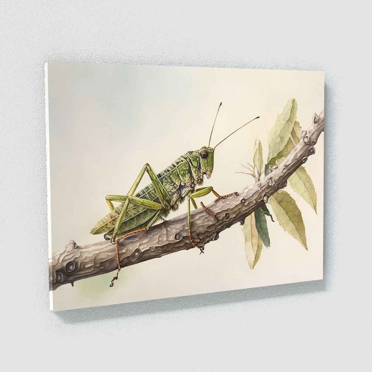 Cricket Watercolor Nature 11 Wall Art