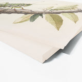 Cricket Watercolor Nature 11 Wall Art