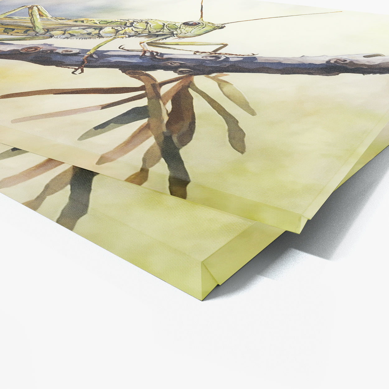 Cricket Watercolor Nature 15 Wall Art