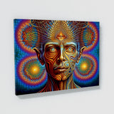 Dmt Trippy Entities 28 Wall Art