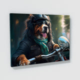 Dogs On A Motorcycle 79 Wall Art