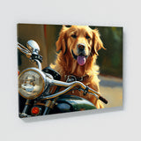 Dogs On A Motorcycle 80 Wall Art