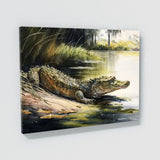 Alligator Basking In Sun 4 Wall Art