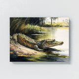 Alligator Basking In Sun 4 Wall Art