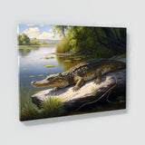Alligator Basking On Riverbank 11 Wall Art