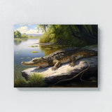Alligator Basking On Riverbank 11 Wall Art