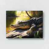 Alligator Basking On Riverbank 14 Wall Art