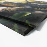 Alligator Basking On Riverbank 14 Wall Art