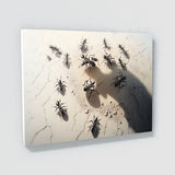 Ant Detailed Shadows Highlights 19 Wall Art