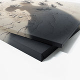 Ant Detailed Shadows Highlights 19 Wall Art