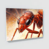 Ant Intricate Red Close Up 1 Wall Art