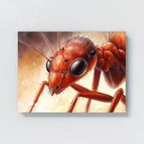 Ant Intricate Red Close Up 1 Wall Art