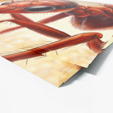 Ant Intricate Red Close Up 1 Wall Art