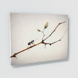 Ant Minimalist Twig Brushstrokes 17 Wall Art