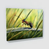 Ant Natural Beauty Of 13 Wall Art