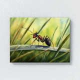 Ant Natural Beauty Of 13 Wall Art