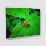 Ant Vibrant Green Red 10 Wall Art