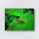 Ant Vibrant Green Red 10 Wall Art