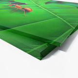 Ant Vibrant Green Red 10 Wall Art