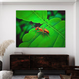 Ant Vibrant Green Red 10 Wall Art