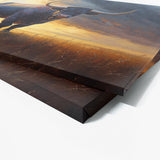 Bull Field Sunset 32 Wall Art