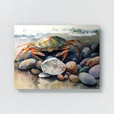 Crab Beach 10 Wall Art