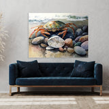 Crab Beach 10 Wall Art