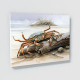 Crab Beach Driftwood 9 Wall Art