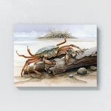 Crab Beach Driftwood 9 Wall Art