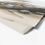 Crab Beach Driftwood 9 Wall Art