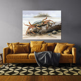Crab Beach Driftwood 9 Wall Art