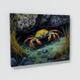 Crab Rocky Tidepool 13 Wall Art