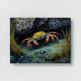 Crab Rocky Tidepool 13 Wall Art