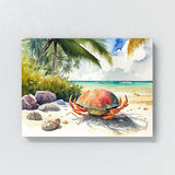Crab Vibrant Seashell Beach 11 Wall Art