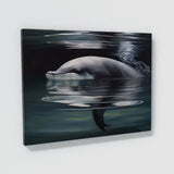 Dolphin Calm Scene 18 Wall Art