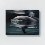 Dolphin Calm Scene 18 Wall Art