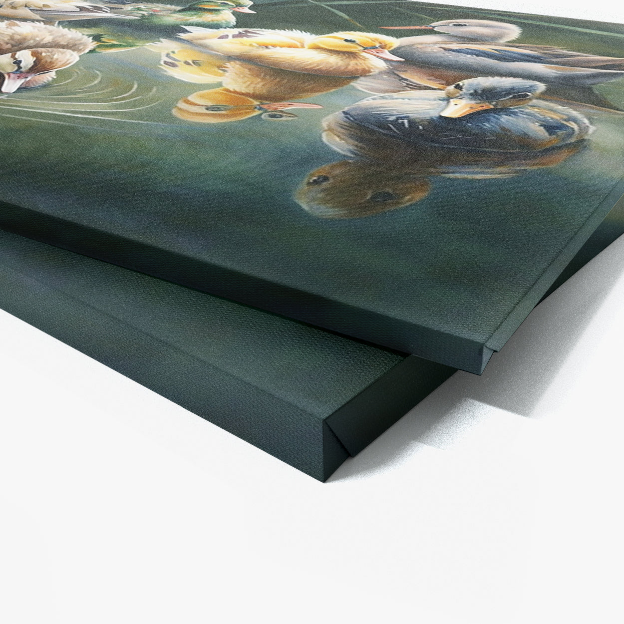 Duck Colorful Pond Dragonfly 16 Wall Art