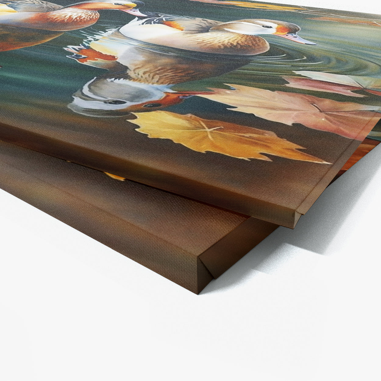 Duck Realistic Pond Reflections 11 Wall Art