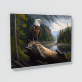 Eagle Realistic Bald 22 Wall Art