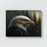 Eagle Realistic Head 18 Wall Art