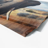 Elephant Realistic Savanna 21 Wall Art